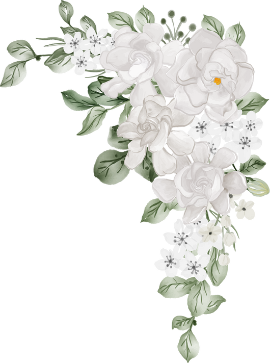 flower arrangement of Gardenia white watercolor illustration