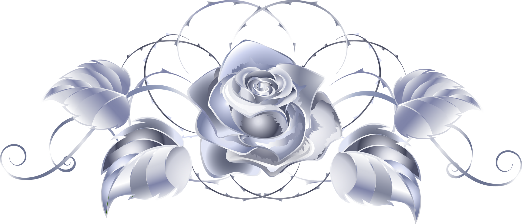 Silver rose